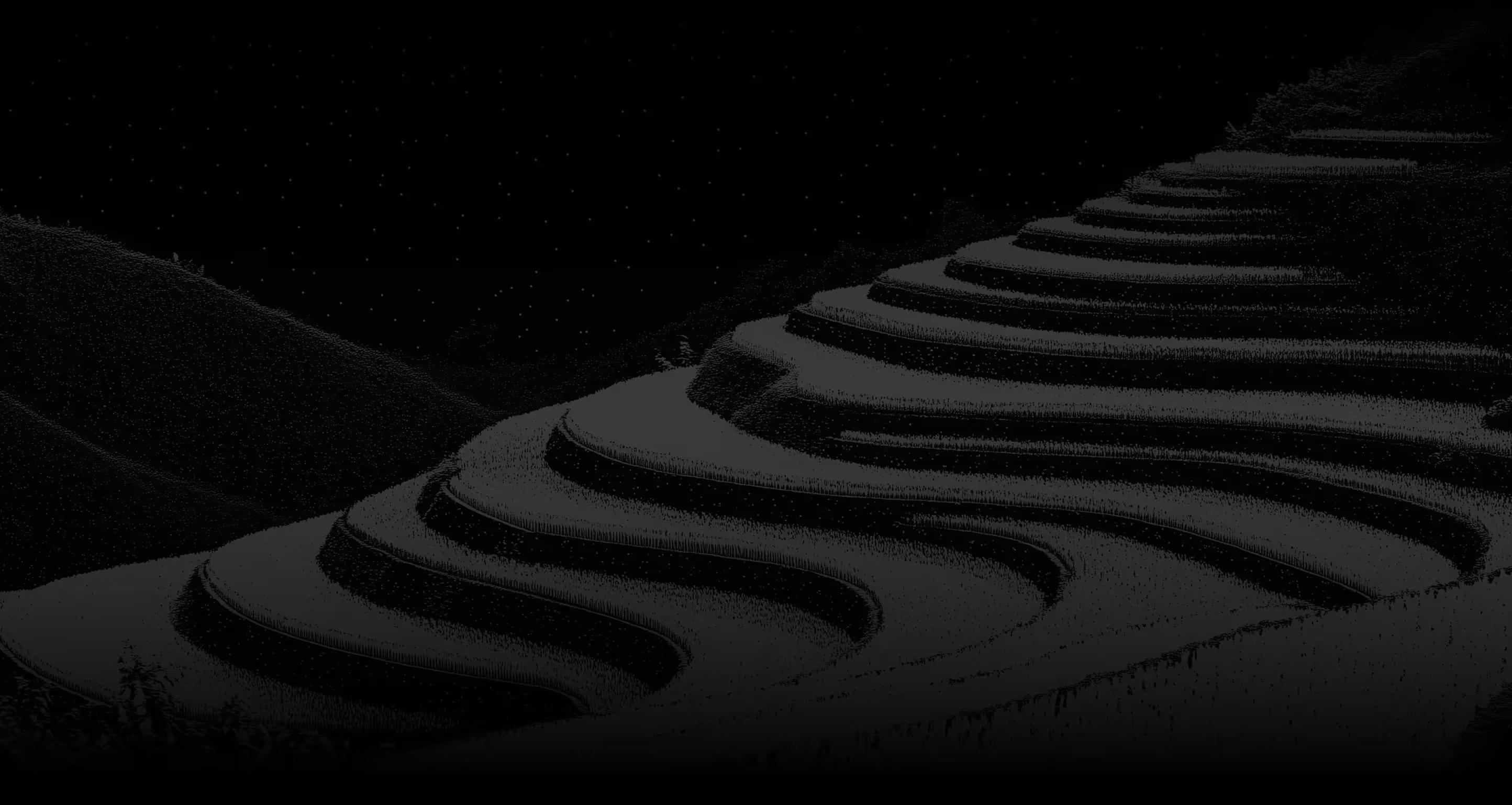 terraced fields